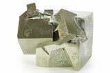 Shiny, Natural Pyrite Cube Cluster - Navajun, Spain #361939-1